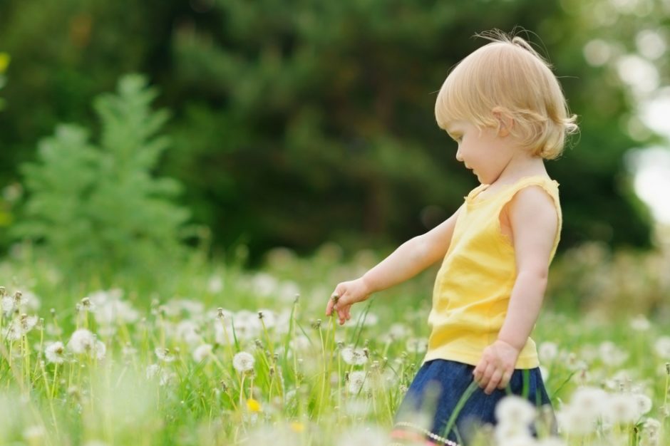 Creating a Mindful Home